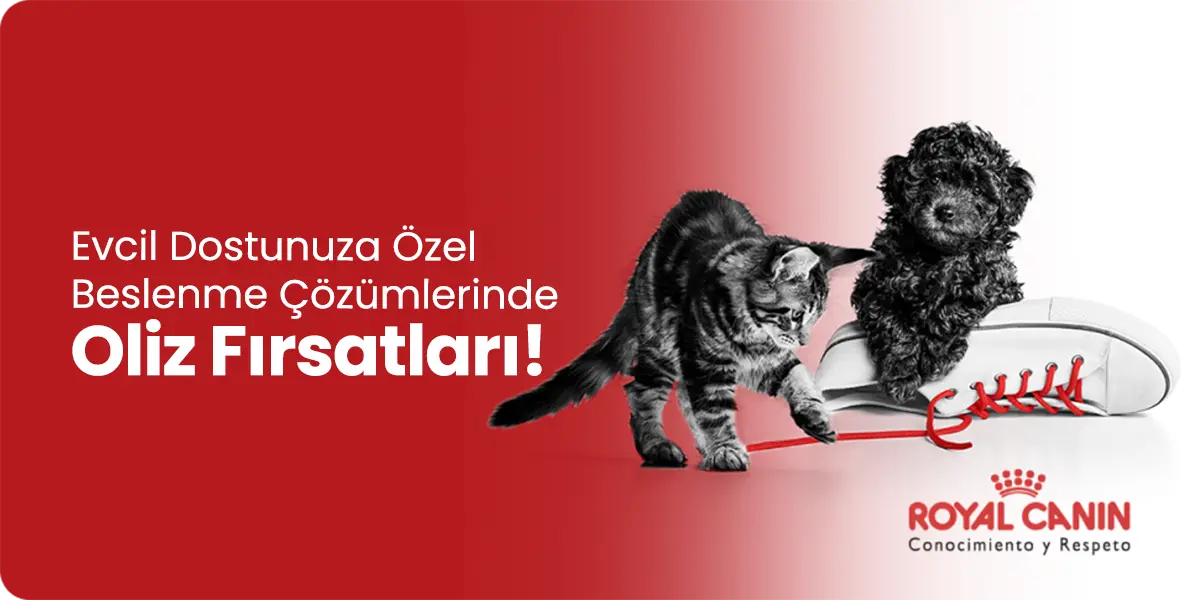 Oliz'de Öne Çıkan Kampanyalar